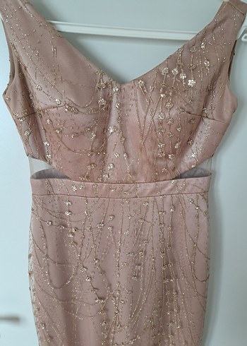 Pudra İşlemeli V Yakalı Uzun Abiye Elbise - Görsel 4