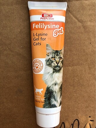 felilysine gel kedi