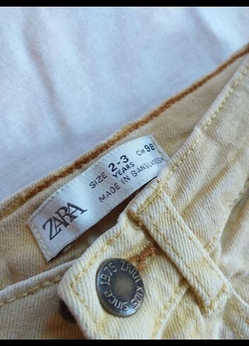 24-36 Ay Beden sarı Renk Zara takim