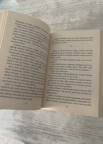 Yağmurun Gelini - Sinan Akyüz Roman - Görsel 2