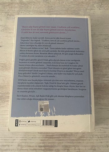 Yağmurun Gelini - Sinan Akyüz Roman - Görsel 3