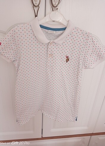 Polo tişört lakoste