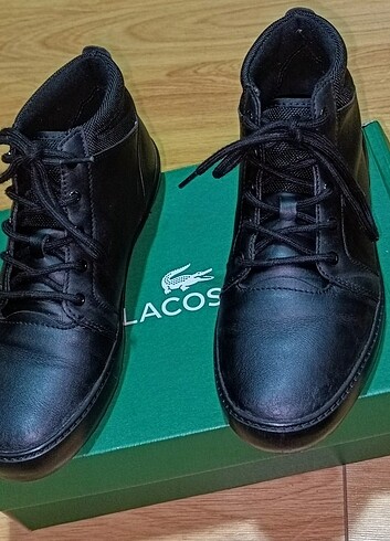 LACOSTE AMPTHİLL CHUUKA BOT