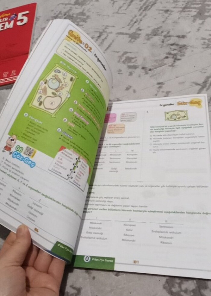 7 sınıf soru bankası - Görsel 2