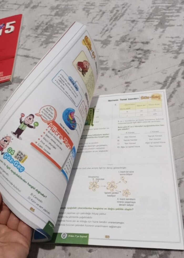 7 sınıf soru bankası - Görsel 4