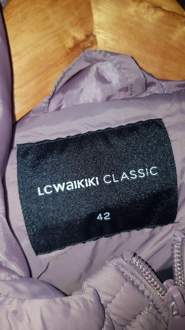 Kapüşonlu Kadın Kışlık Mont - Görsel 2