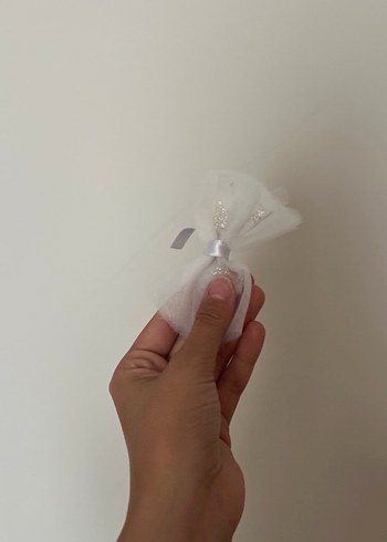 Büyük ırk Köpek için