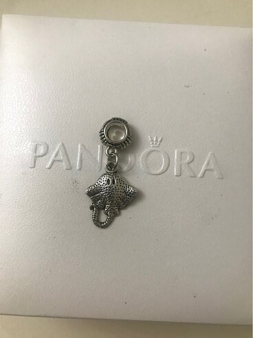 Pandora charm