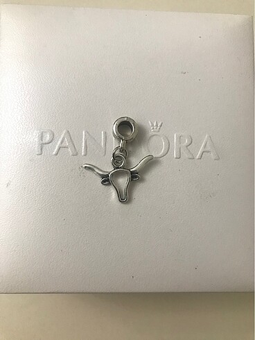 Pandora charm