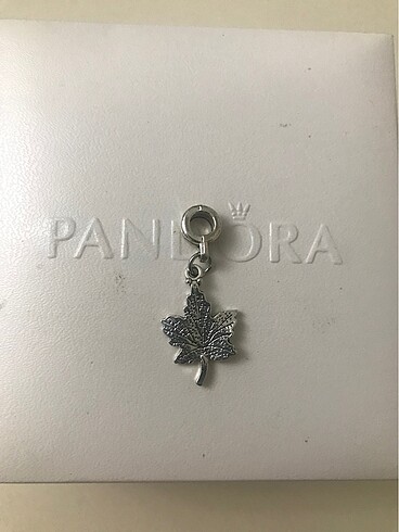Pandora charm