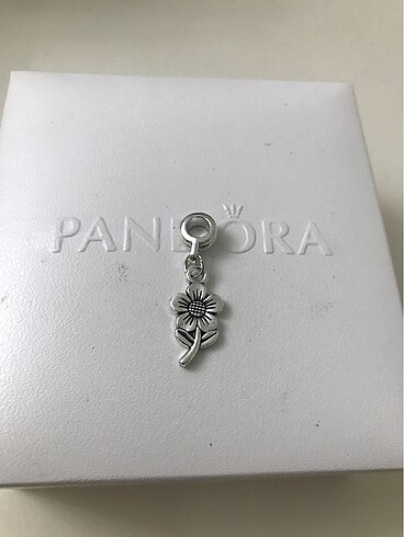 Pandora charm