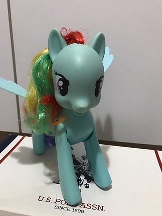 Diğer Buyuk boy pony