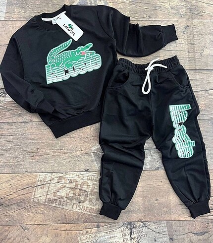 Lacoste takım erkek
