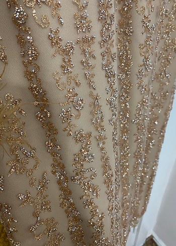 Bej Dantel Detaylı Uzun Abiye Elbise - Görsel 4