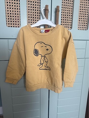 Sweatshirts