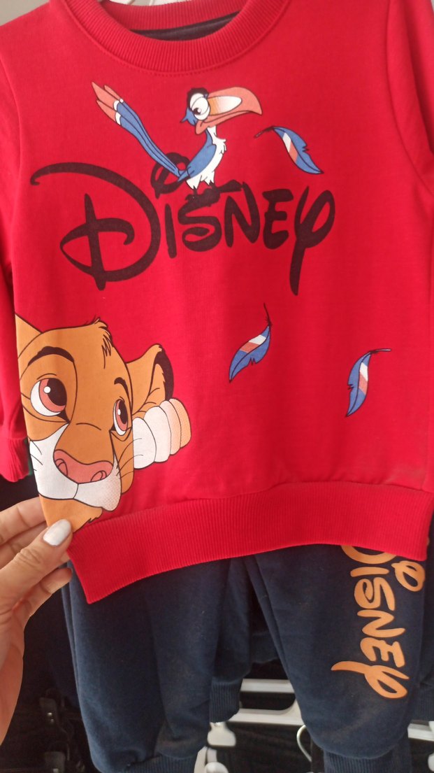 Renkli Disney Baskılı Erkek Çocuk Eşofman Takımı - Görsel 3