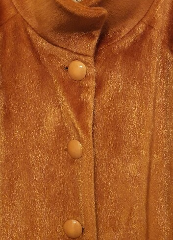 Muhteşem kaban - Görsel 6