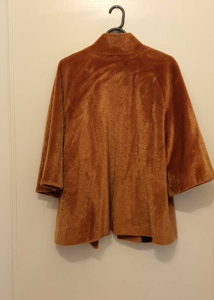 Muhteşem kaban - Görsel 3