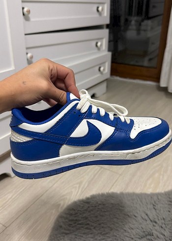 Nike Dunk Low Retro Sneaker