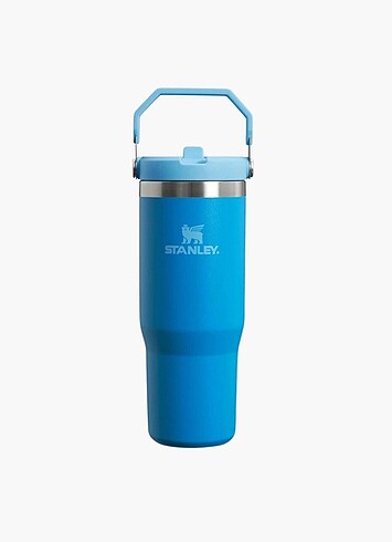 Stanley The IceFlow Flip Straw Pipetli Termos Bardak 0,89 Lt - M