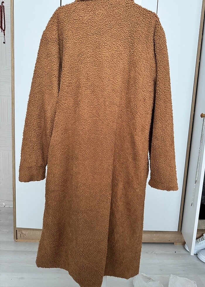 Bayan kaban - Görsel 3