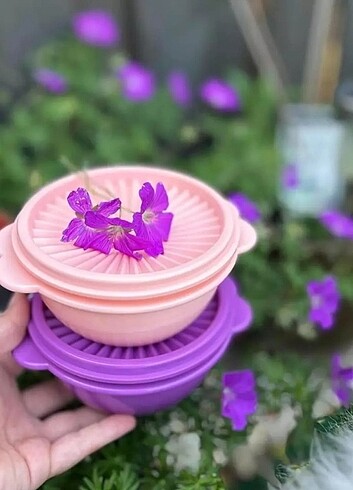 Tupperware Yıldız kaplar 2 li 