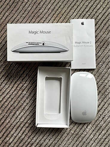 Magic mouse 2
