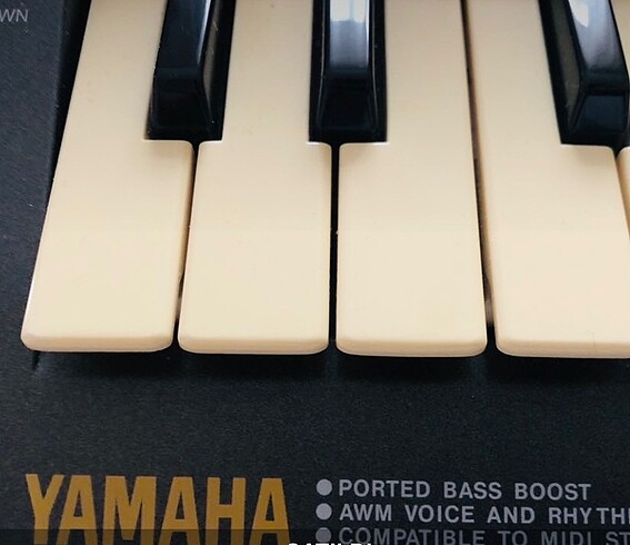 Org ???? yamaha