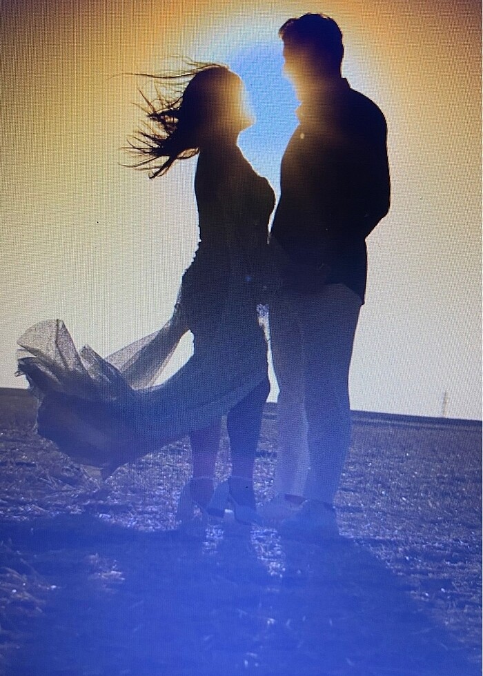 Dış Çekim Elbisesi - Görsel 5