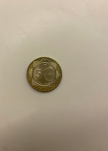 Altin Tonlu 5 Turk Lirasi Parasi