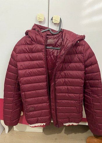 Lacoste Orijinal Lacoste Bordo Sisme Mont