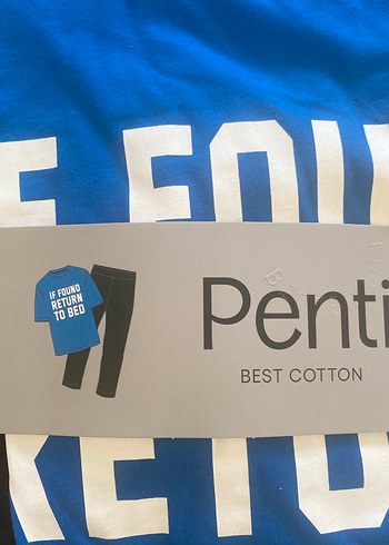 Penti Mavi Baskılı Pamuklu Kısa Kollu Hamile Tişörtü - Görsel 2