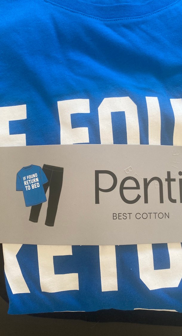 Penti Mavi Baskılı Pamuklu Kısa Kollu Hamile Tişörtü - Görsel 2