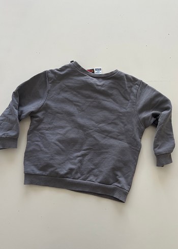 Gri Baskılı Erkek Çocuk Sweatshirt - Görsel 3