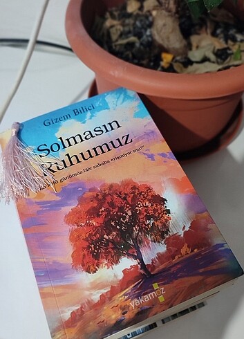 Beden Renk Gizem Bilici kitapları