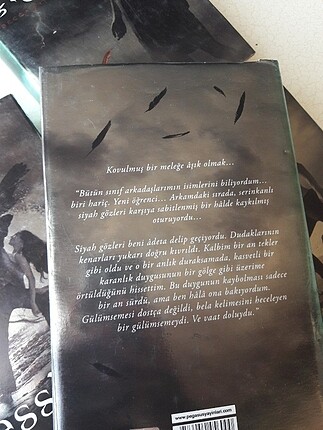 Beden Renk Fısıltı Serisi Hush hush Bacca Fitzpatrick Ciltli