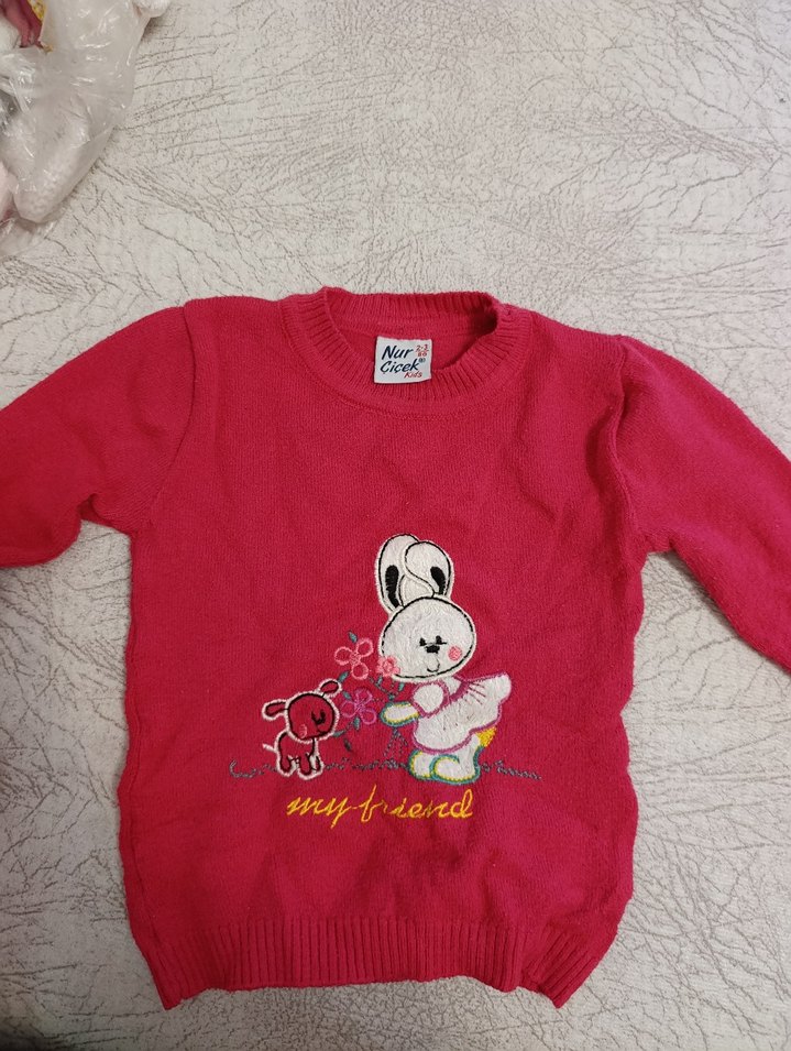 Kız Çocuk Pembe Uzun Kollu Sweatshirt - Görsel 2