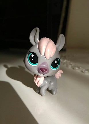 Lps miniş