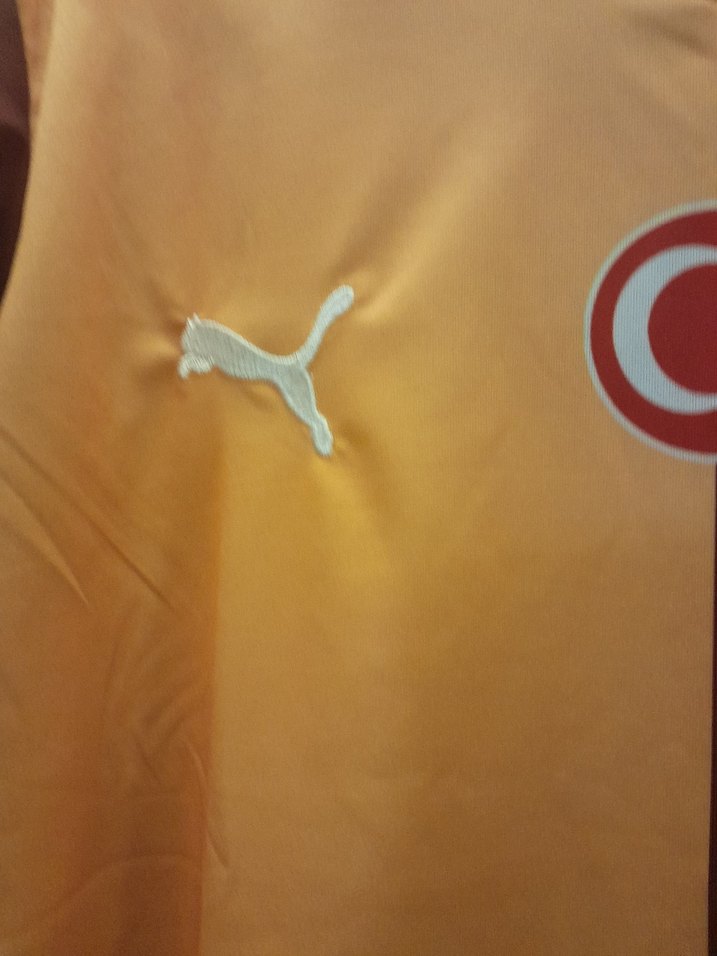 Erkek  Galatasaray forması 5yildizli - Görsel 2