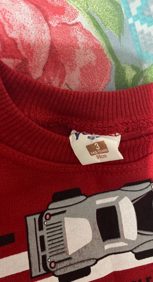 Kırmızı Erkek Çocuk Baskılı Sweatshirt - Görsel 2