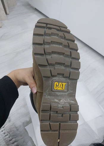 Erkek Cat Bot Colorado - Görsel 10