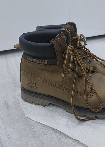 Erkek Cat Bot Colorado - Görsel 6