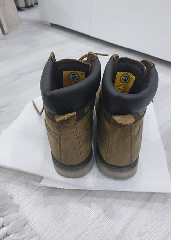 Erkek Cat Bot Colorado - Görsel 5