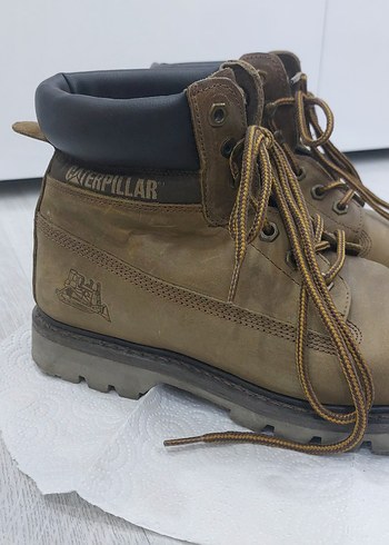 Erkek Cat Bot Colorado - Görsel 2