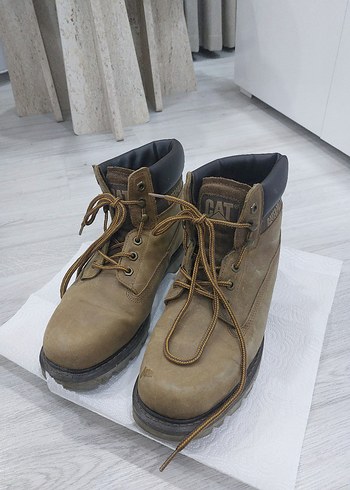 Erkek Cat Bot Colorado - Görsel 4