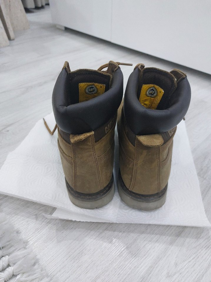 Erkek Cat Bot Colorado - Görsel 5