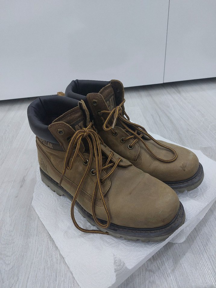 Erkek Cat Bot Colorado - Görsel 3