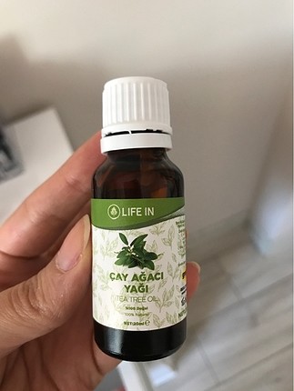 Çay ağacı bakım yağı