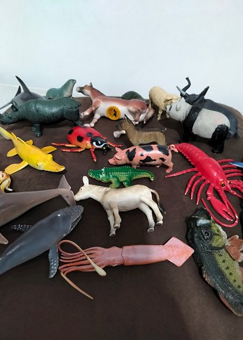 hayvanlar - Görsel 2