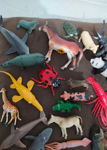 hayvanlar - Görsel 3